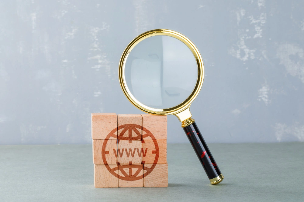 What-Is-a-Domain-Name-A-Beginners-Guide